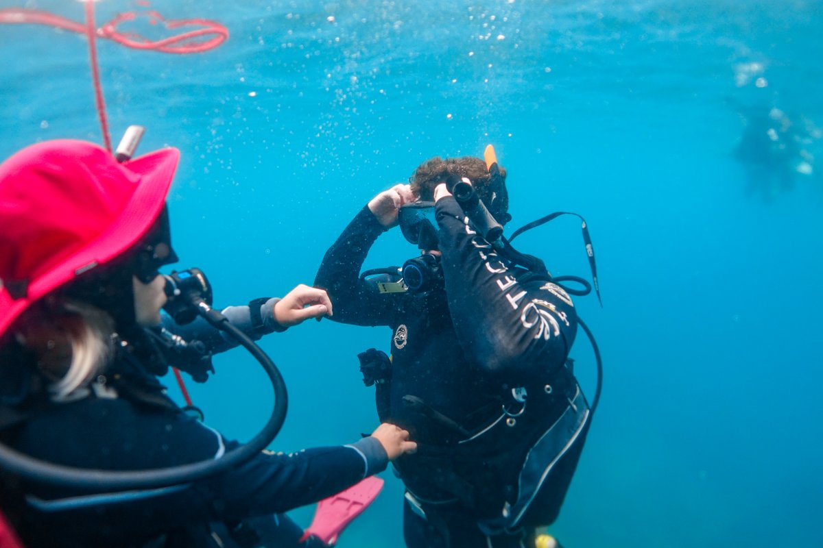 If you do not have the time, or money to complete our PADI Open Water diving course, you can try a Discover Scuba dive, which is a 1 day fully supervised scuba adventure packed fun. blackturtledive.com/experience-pro… #Scuba #KohTao #Diving #DSD