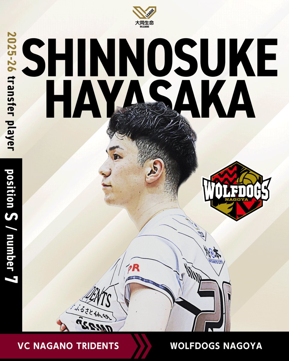 Transfer update 2025-26
移籍選手を紹介！

#早坂心之介 (S)
WD名古屋 <a href="/Wolfdogs_NAGOYA/">ウルフドッグス名古屋</a>

#大同生命SVリーグ #SVリーグ
