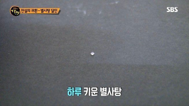 수야 tweet media