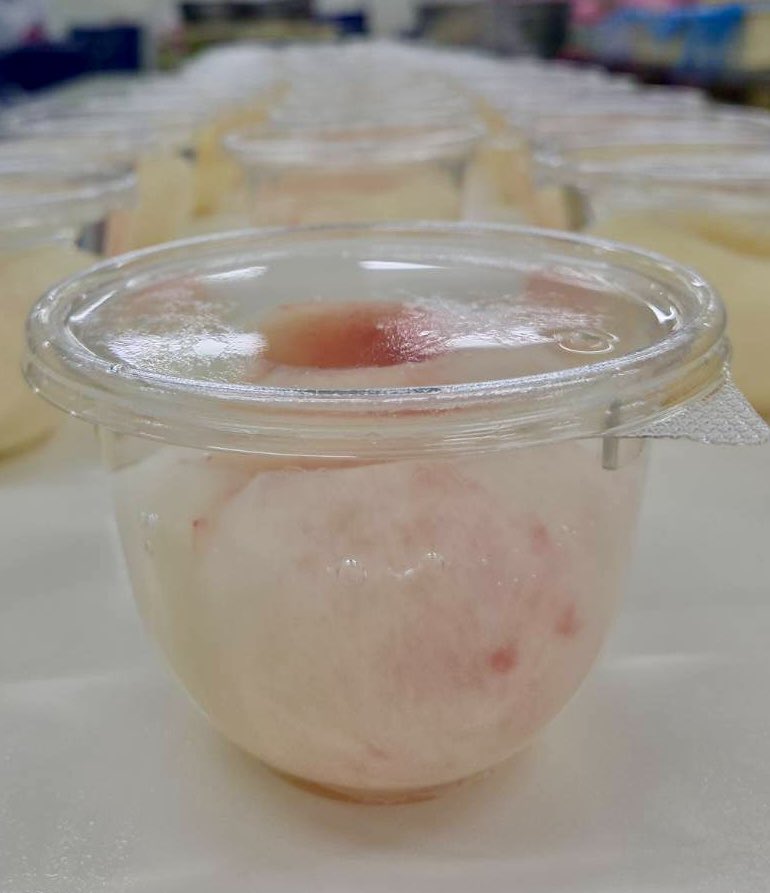 FreshDessertInc's tweet photo. 🍑桃をまるごと使った季節限定ゼリー🍑
絶賛販売中です！

#栃木県
#とちぎ
#宇都宮
#上三川
#フレッシュデザート株式会社会社
#フレッシュデザート
#もも
#ももゼリー
#デザート
#フルーツ
#フレッシュフルーツ https://t.co/zJojC8c68d