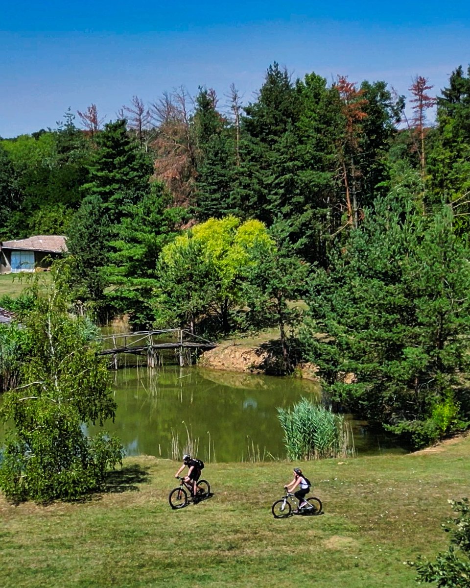 Morning commute? Evening spin? Weekend tour?
Bikademy turns every ride into something more.

Track your daily kilometers, save CO₂, and join friendly Challenges.
Or pick a Study, explore amazing spots by bike, and earn rewards.

It’s cycling with a little extra motivation. 🚲