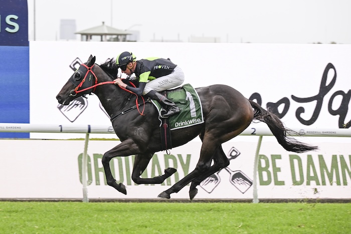 Black Type Racing (@breedingracing) on Twitter photo Currently sitting in 11th position on Australia's Leading Prizemoney Earners, <a href="/PrideRacing/">Pride Racing</a> & <a href="/ProvenTbreds/">PR🟢VEN Thoroughbreds</a> Private Eye commences his Spring campaign in Saturday's G2 PB Lawrence Stakes <a href="/MelbRacingClub/">Melbourne Racing Club</a> looking to add to his $12.2m bank account!
News: breedingracing.com/news/2025/08/1… Currently sitting in 11th position on Australia's Leading Prizemoney Earners, <a href="/PrideRacing/">Pride Racing</a> & <a href="/ProvenTbreds/">PR🟢VEN Thoroughbreds</a> Private Eye commences his Spring campaign in Saturday's G2 PB Lawrence Stakes <a href="/MelbRacingClub/">Melbourne Racing Club</a> looking to add to his $12.2m bank account!
News: breedingracing.com/news/2025/08/1…