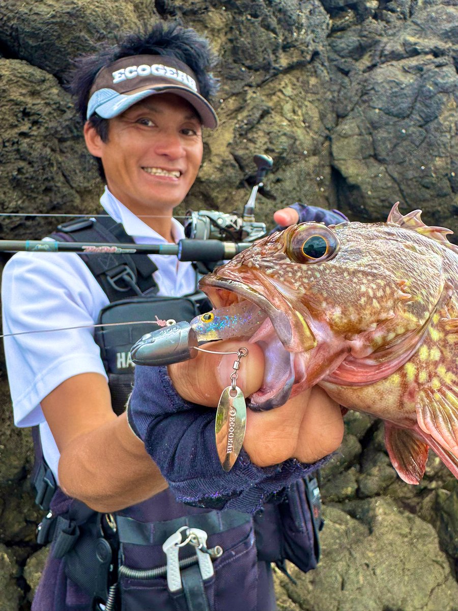 tatsuya0721y's tweet photo. 房総ショアアカハタ
スイミングの釣りにはブレードを
スイミングテンヤキラキラ&
ケルトで良型をコールアップ⤴️
#ECOGEAR
#スイミングテンヤキラキラ
#ケルト
#NORIESOCEAN
#FLATFISHPROGRAMMU
#シューティングサーフ96カスタム
#DUEL
#ArmoredーFーPlusーpro1号
#ピンクフロロ25lbs
#SWANS偏光 https://t.co/d1aAMqFmvU
