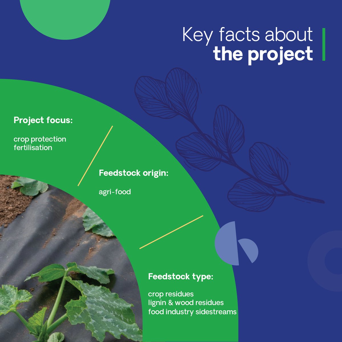 Plastic used in agriculture can degrade soil health, harm biodiversity &amp;add to greenhouse gas emissions. The CBE JU-funded INSOIL project is developing #biobased, in-soil biodegradable products that can replace conventional plastics &amp; improve soil quality: cbe.europa.eu/projects/insoil