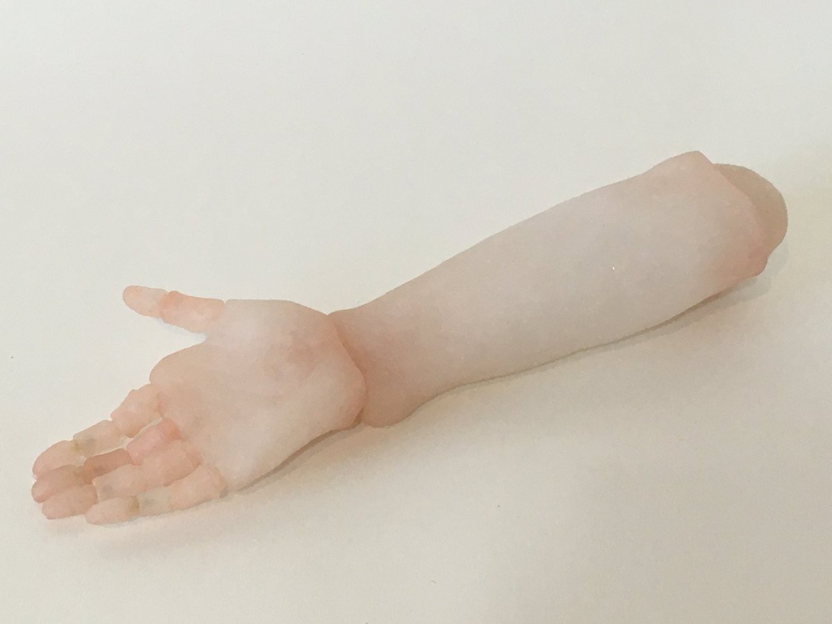 企画展
「手のけしき、夏のかげ」始まりました🕊

2025.8.15～24
GALLERY futari＋ユースタシア企画室
@galleryfutari  @yuxlys