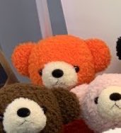 ꫛꫀꪝ✧‧˚新色ふわふわこねこちゃん♡ テディベア ベビー おすわりぬいぐるみ(SPRING FAIRY) RJ – LINE FRIENDS