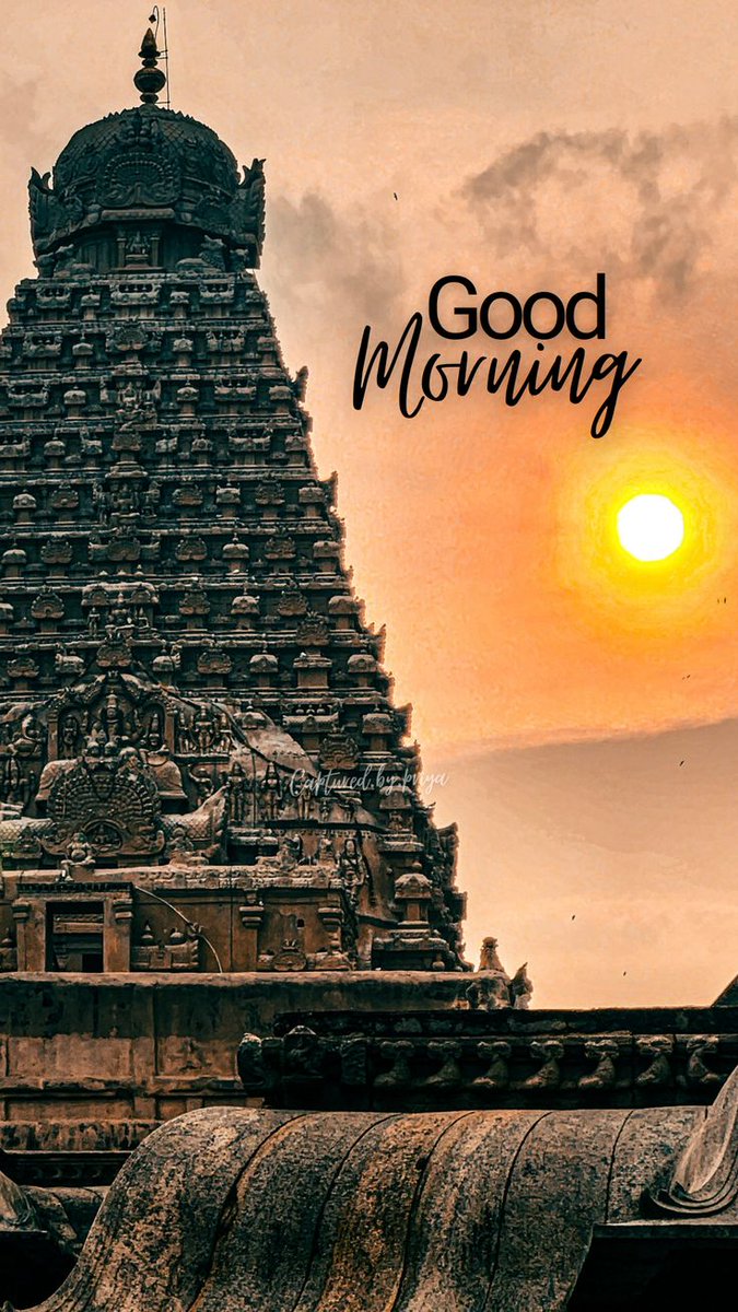 Degenis tweet media