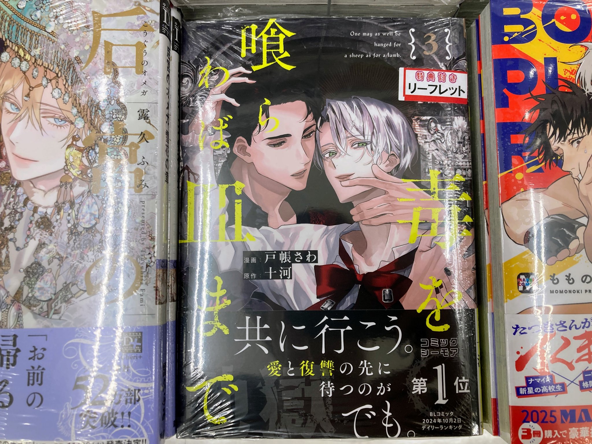 バラ売りOK　漫画　アニメイト　特典　雑誌　付録　③ 海老之尾 『悠と晴 』2、3巻 アニメイトセット8P小冊子、4P
