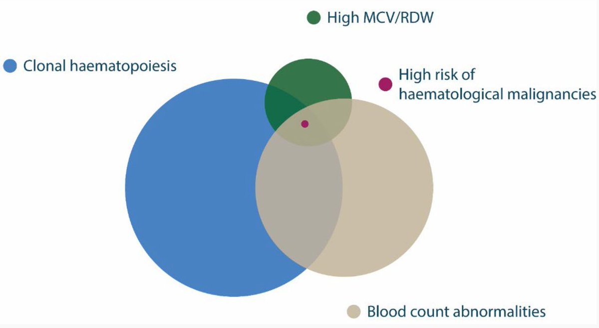 British Journal of Haematology tweet media