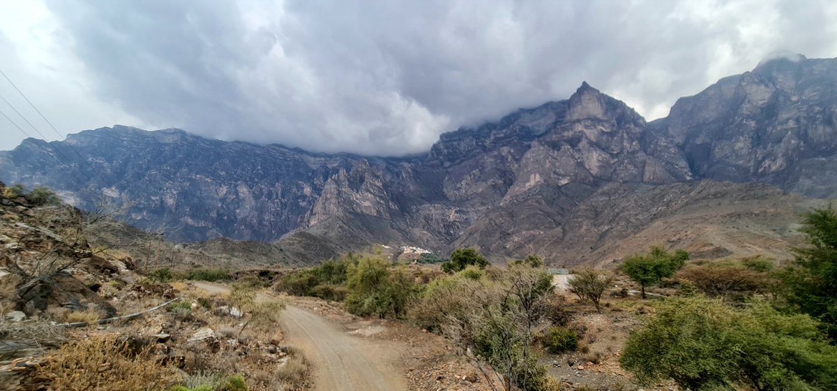 هذا ما كتبتهُ اليوم ✍️

كم يملؤني السرور وأنا أمضي لزيارة جدي وجدتي  وكم يفيض فخري بذلك الوادي السحتني ، حيث لكل زاوية فيه ذكرى خالدة في الوجدان ، مختومة بروح الطفولة البريئة ، هناك حيث يسكن الهدوء وتتنفس العزلة بعيداً عن صخب الزحام ، قريباً من تلك الطيور التي تشدو خارج حدود