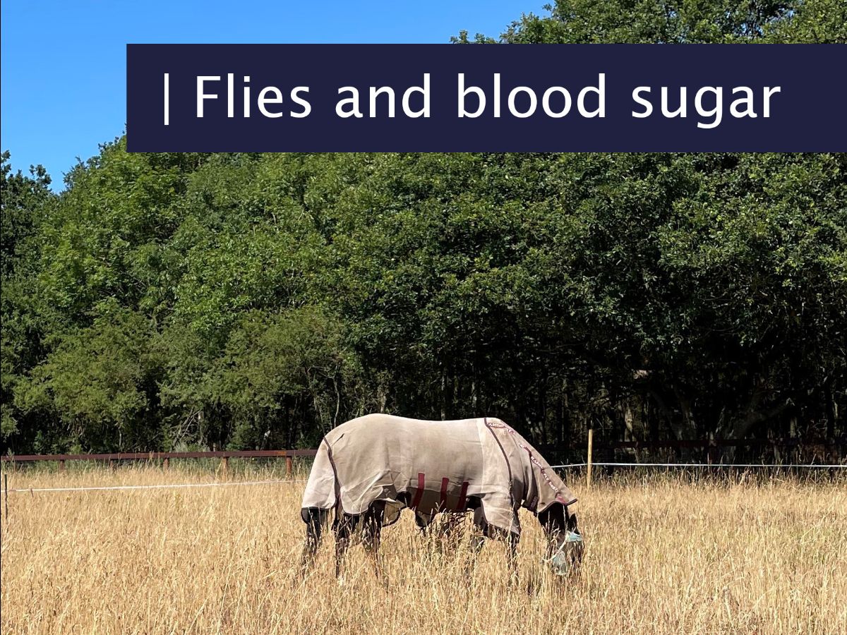 Grazing in Short Supply? Here's a Simple Way to Offer a Top-Up - mailchi.mp/simplesystem.c…