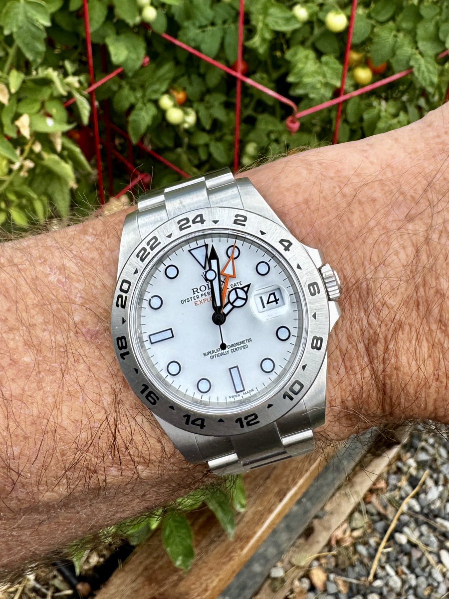 wristwatchforum's tweet photo. I grilled some grouper tonight that I bought in FL, served with blistered tomatoes & collard greens from the garden & seasoned rice. But more importantly, I put the @ROLEX #ExplorerII back on the bracelet where it belongs. The canvas strap was a nice change, but not long term. https://t.co/AF5GrW4vvo