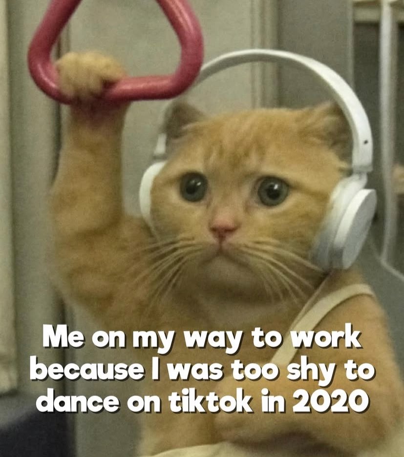 Zeo (@zeokatt) on Twitter photo 