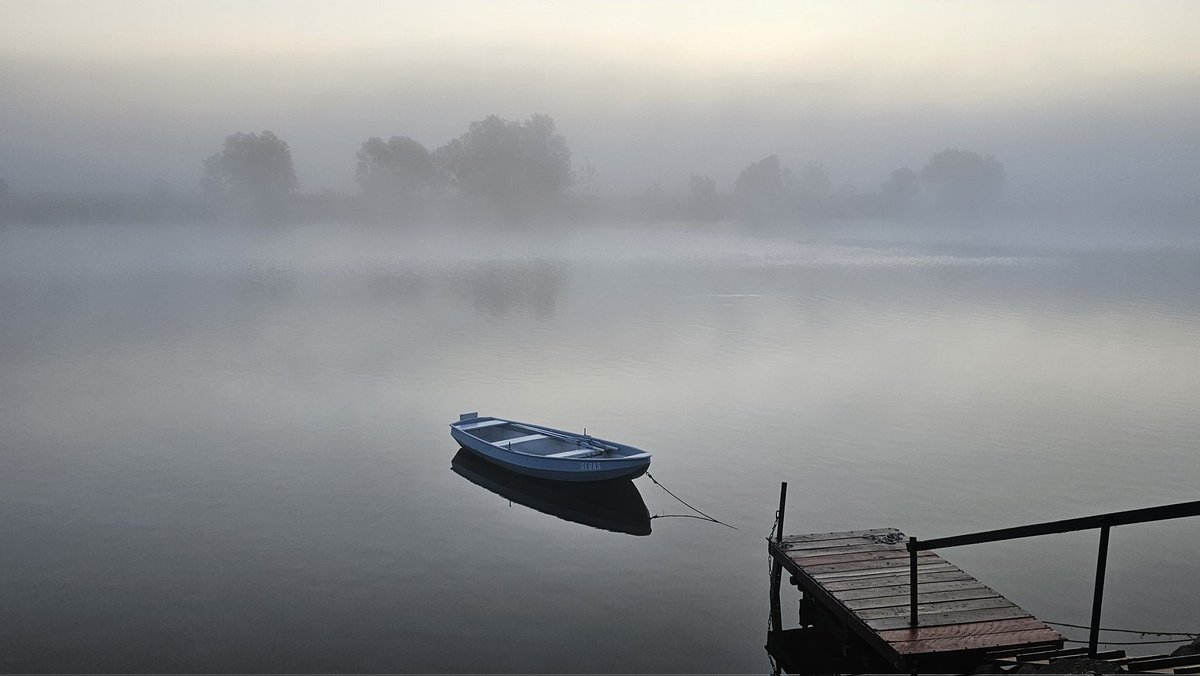 Agnes Advocaat tweet media