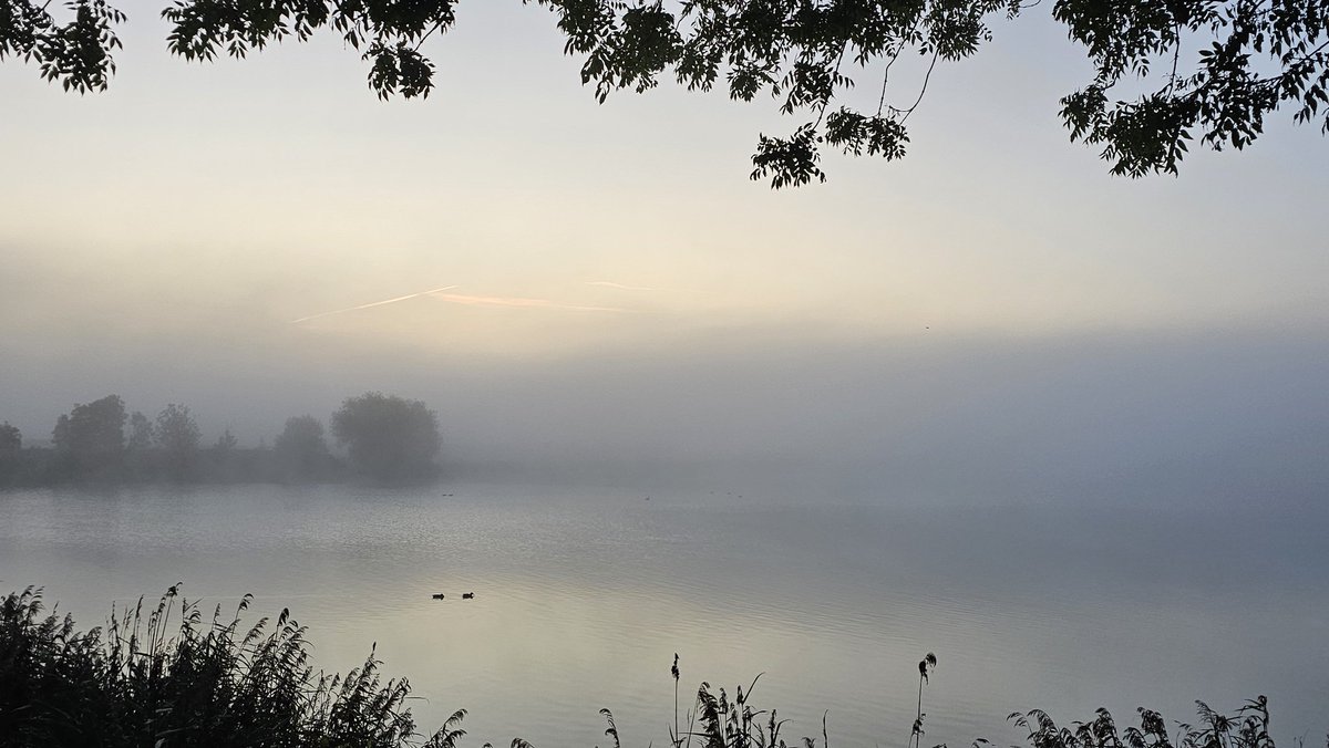 Agnes Advocaat tweet media