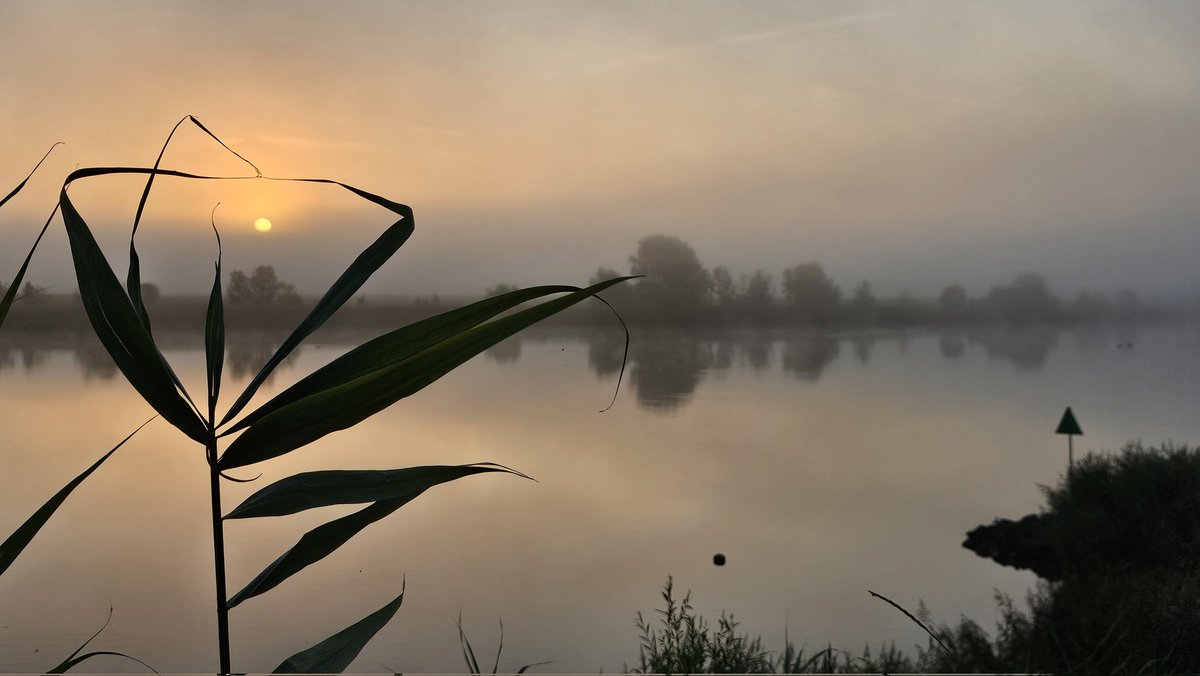 Agnes Advocaat tweet media