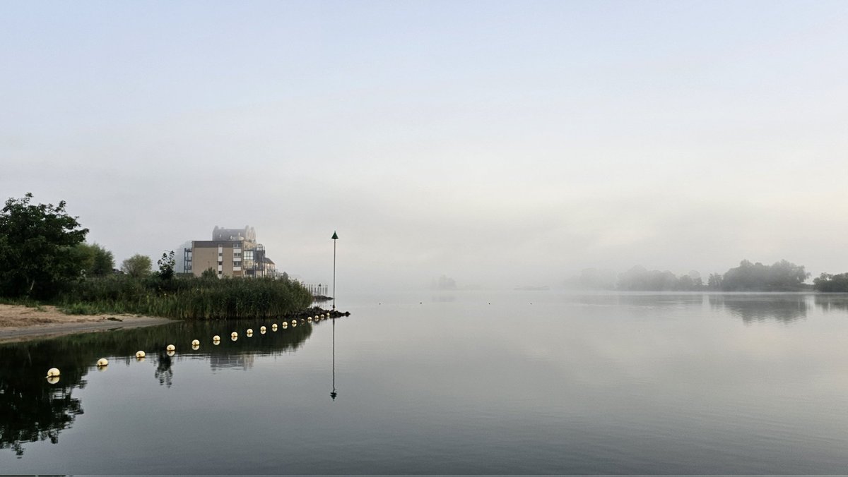 Agnes Advocaat tweet media