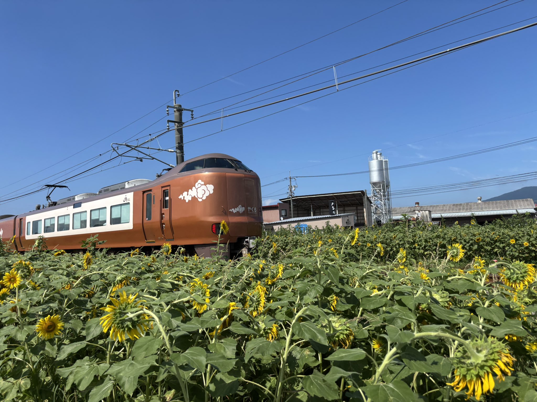 ひまわりさん専用です❤️ ひまわり畑を日回りするヒーマギア アルトじゃーないとっ