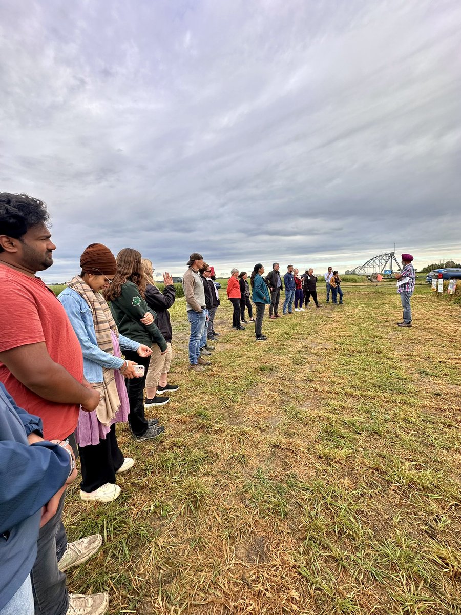 ScientiaKaur's tweet photo. Field Day at AAFC Lethbridge with Alberta Grains and RDAR.
Science in the field, for the field 🌾
#FieldDay #WheatBreeding @RDARAlberta @AlbertaGrains https://t.co/JZ44CVqwmF