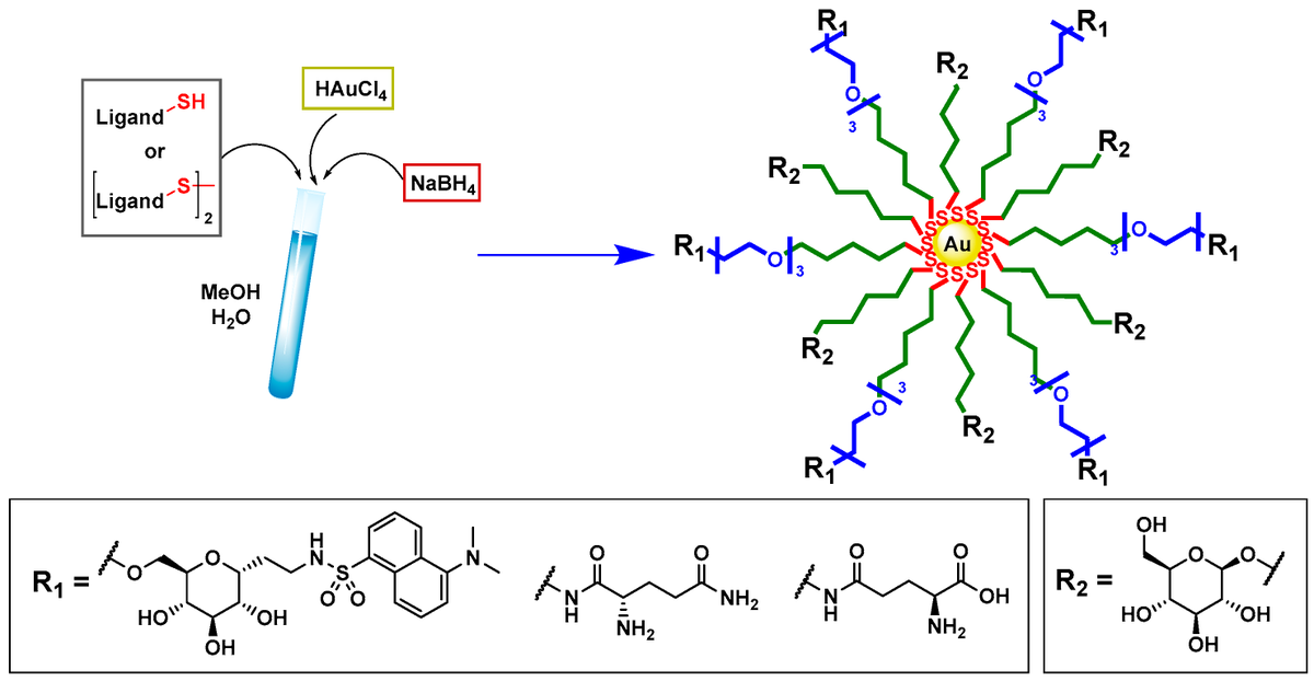 Applsci's tweet photo. 🔥 Read our Highly Cited Paper
📚 Dual-Targeting #GoldNanoparticles: Simultaneous Decoration with #Ligands for Co-Transporters #SGLT1 and #B0AT1
🔗 https://t.co/OXDoW9dzqs
👨🔬 Giuseppe D’Orazio, Marco Marradi and Barbara La Ferla
🏫 @LaStatale / @UNI_FIRENZE
#glycoderivatives #thiolenecoupling