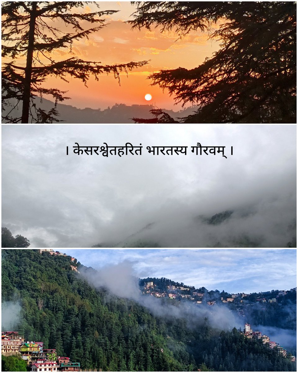 Happy Independence Day 🇮🇳🧡