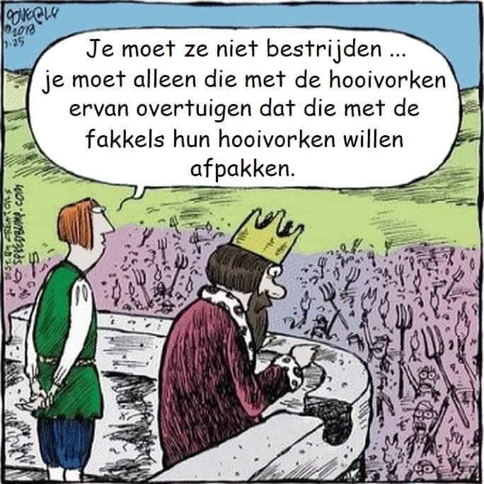 S.B. 🌱⭕️🇳🇱🏳️‍🌈🇺🇦🇪🇺 tweet media
