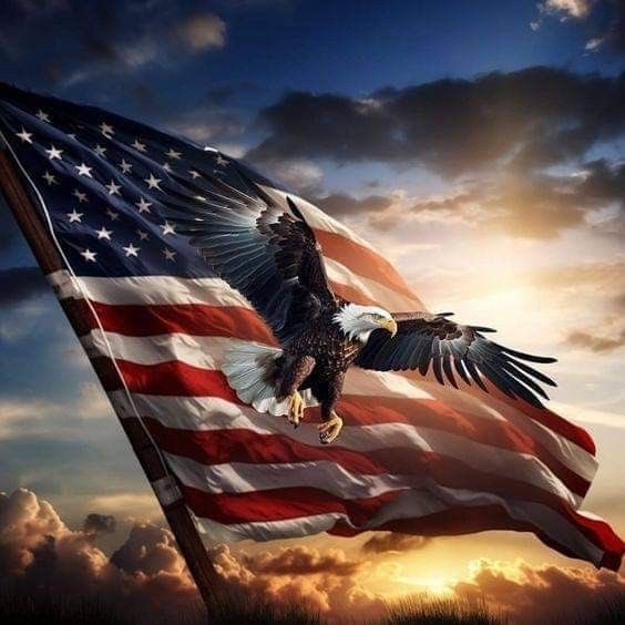 👇MORE TO FOLLOW FRENS👇

<a href="/LauraLea_1/">Laura</a> 
<a href="/Blondie11755/">Lee♥️♥️♥️</a> 
<a href="/NickHandres/">Nick</a> 
<a href="/holli_the_nord/">Hollian ♡</a> 
<a href="/norwayhornet01/">Norwayhornet</a> 
<a href="/annlillianbond/">Annie Bond</a> 
<a href="/ILA_NewsX/">I Love America News</a> 
<a href="/irfanbenli4/">irfan benli</a> 
<a href="/IronTiger44/">The Iron Tiger 🇺🇸🐅</a>
 <a href="/US_MARINE_VZ/">US_MARINE_VZ</a>  
<a href="/kovacsbalint37/">Balint 🍃🌼🦊🙋‍♂️</a>