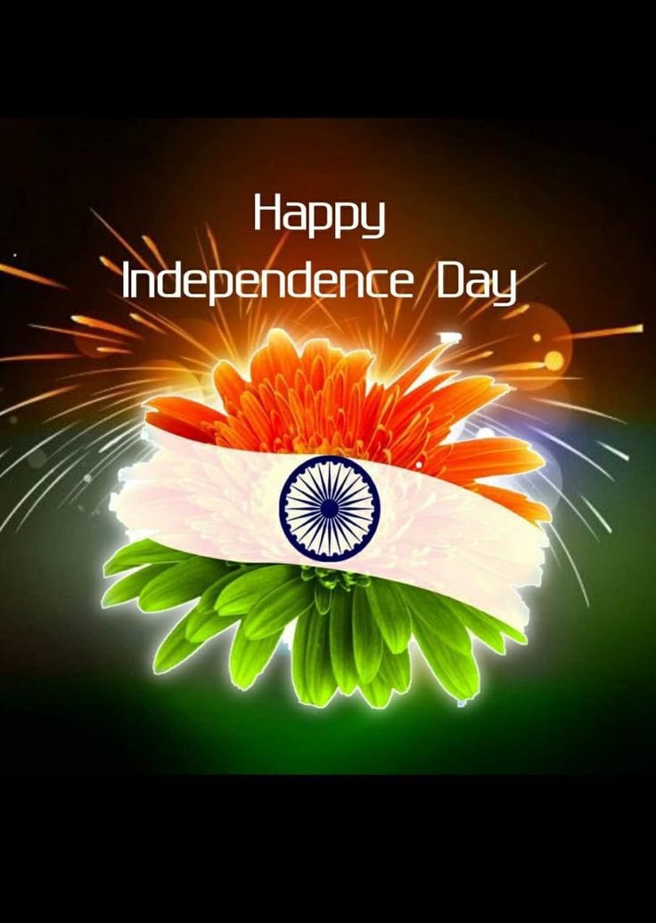 sadhna shanker tweet media