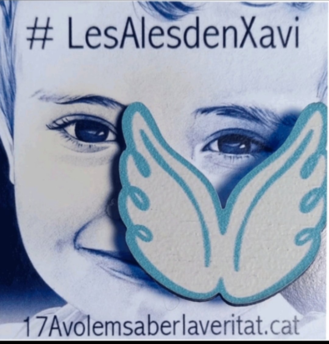 lolasevaalospu2's tweet photo. Demà passat, farà 8 anys de l'atemptat de falsa bandera de Barcelona i Cambrils.
El president de la colònia @salvadorilla, com ja va fer l'any passat, preferirà estar de vacances que assistir a l'homenatge a les víctimes.
El @govern de tothom. https://t.co/kZronhQcHi