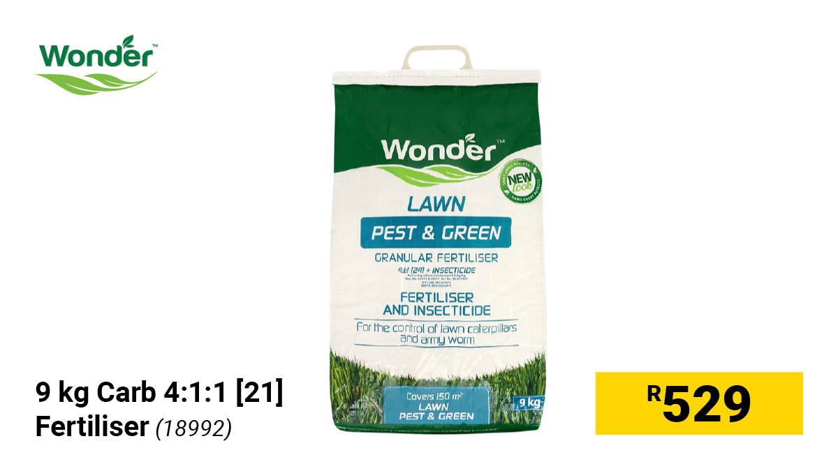 BuildersSA's tweet image. Spring is around the corner. Builders will be bringing you everything you need to refresh your garden, organise your space and prepare for the season ahead. Stay tuned for what’s coming. #BuildersSA #SpringReady #GetItDone