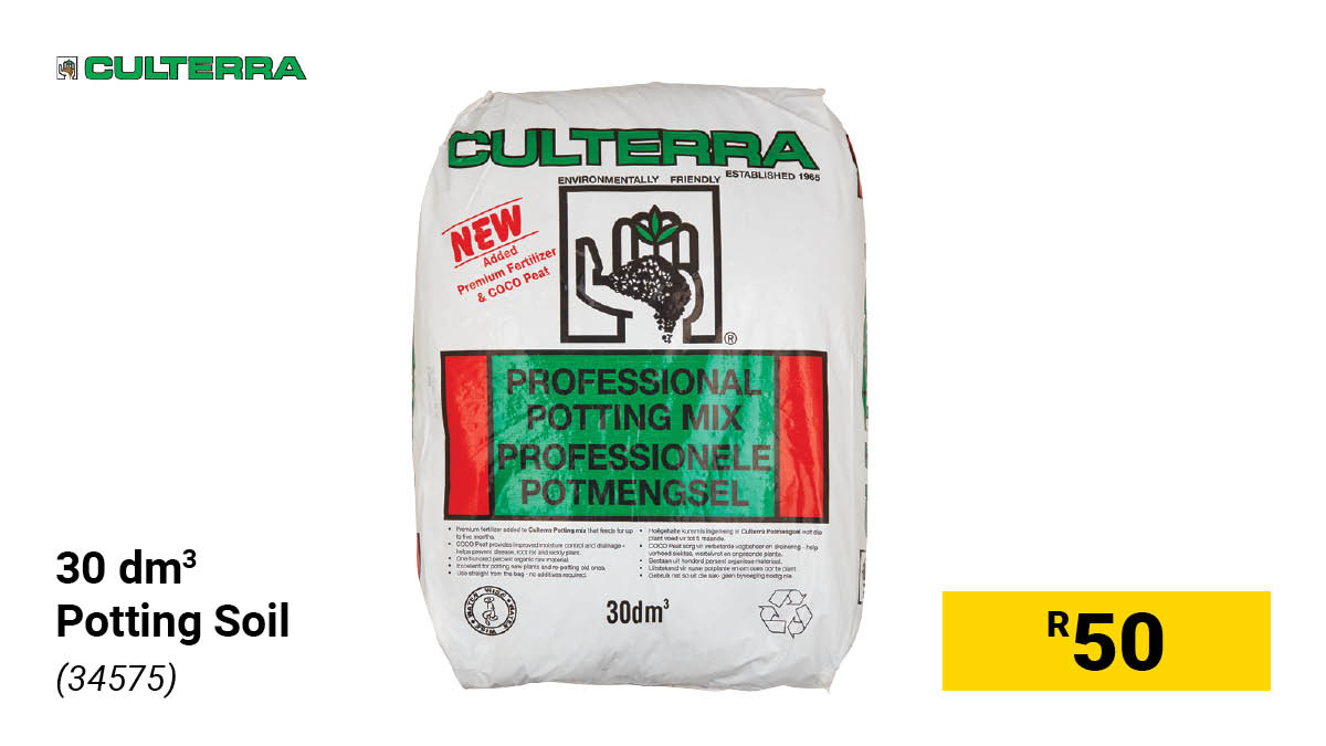 BuildersSA's tweet image. Spring is around the corner. Builders will be bringing you everything you need to refresh your garden, organise your space and prepare for the season ahead. Stay tuned for what’s coming. #BuildersSA #SpringReady #GetItDone