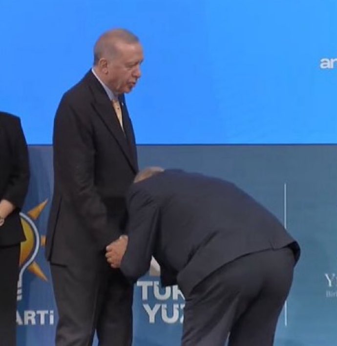 Normal omurga / akpye yanlanan omurga