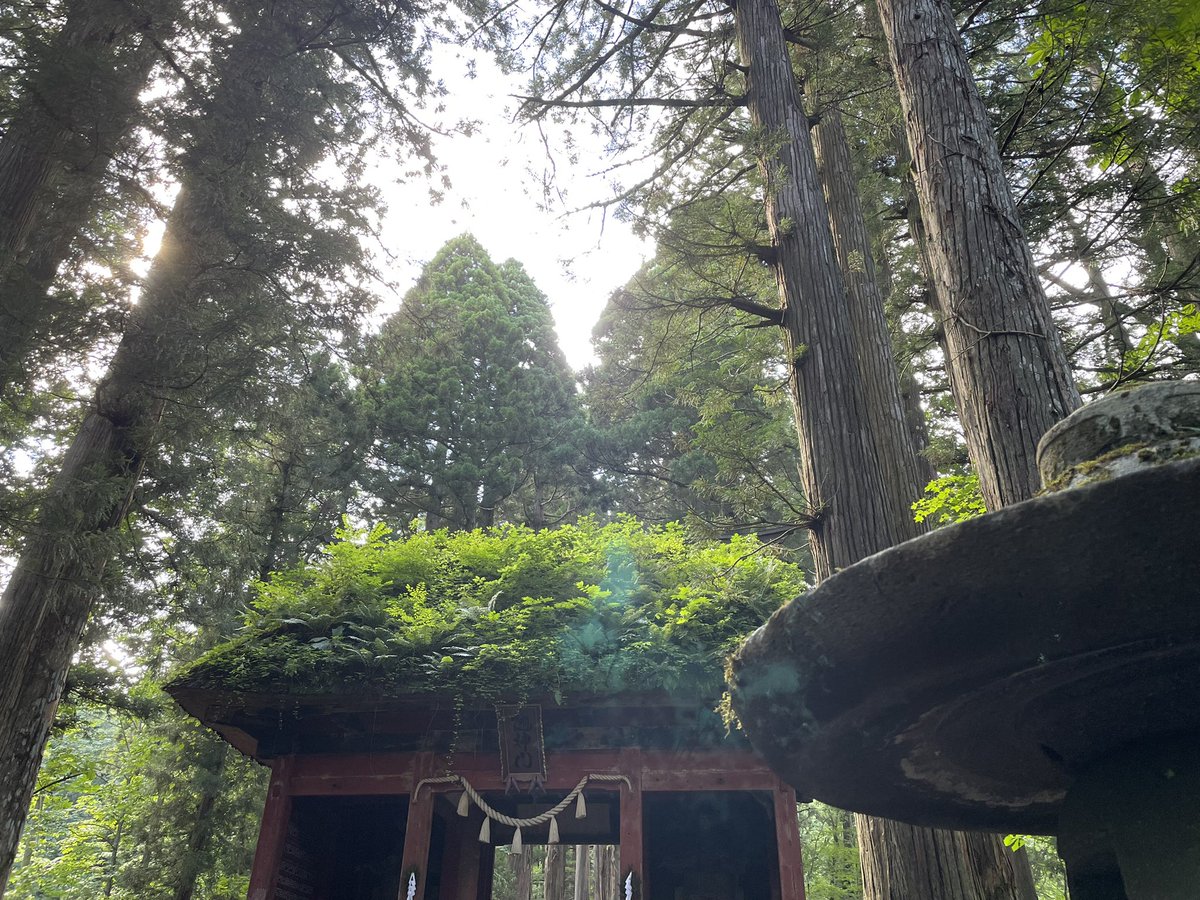 wavenesu's tweet photo. ２年前と同じ
戸隠神社を参拝後に聖湖花火へ
今回は水上花火もバッチリ観覧できました https://t.co/erBkIS1jeP