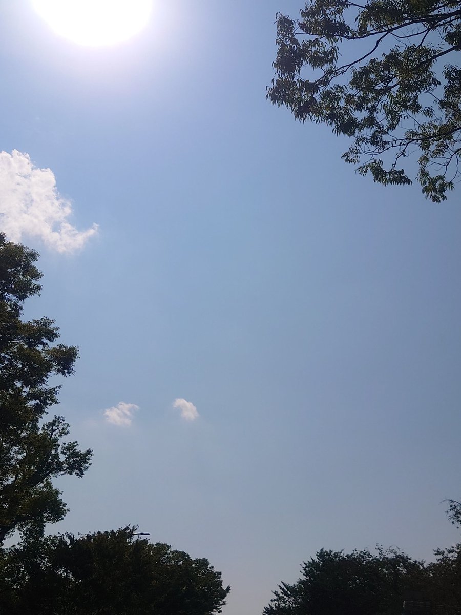 mcdtmm1204's tweet photo. 今空

お久しぶりです(^0^)/

 #久しぶりの投稿
 #こんにちは
 #今空 https://t.co/tc4KYikIPm