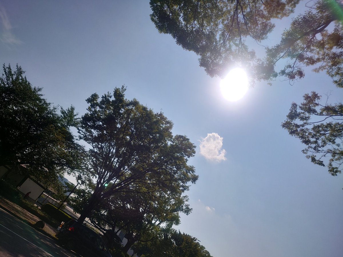 mcdtmm1204's tweet photo. 今空

お久しぶりです(^0^)/

 #久しぶりの投稿
 #こんにちは
 #今空 https://t.co/tc4KYikIPm