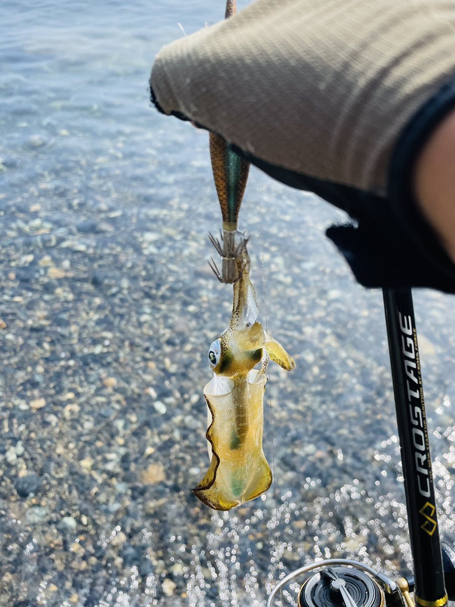 釣りは一生やるch (@turi_issyo) / Posts / X