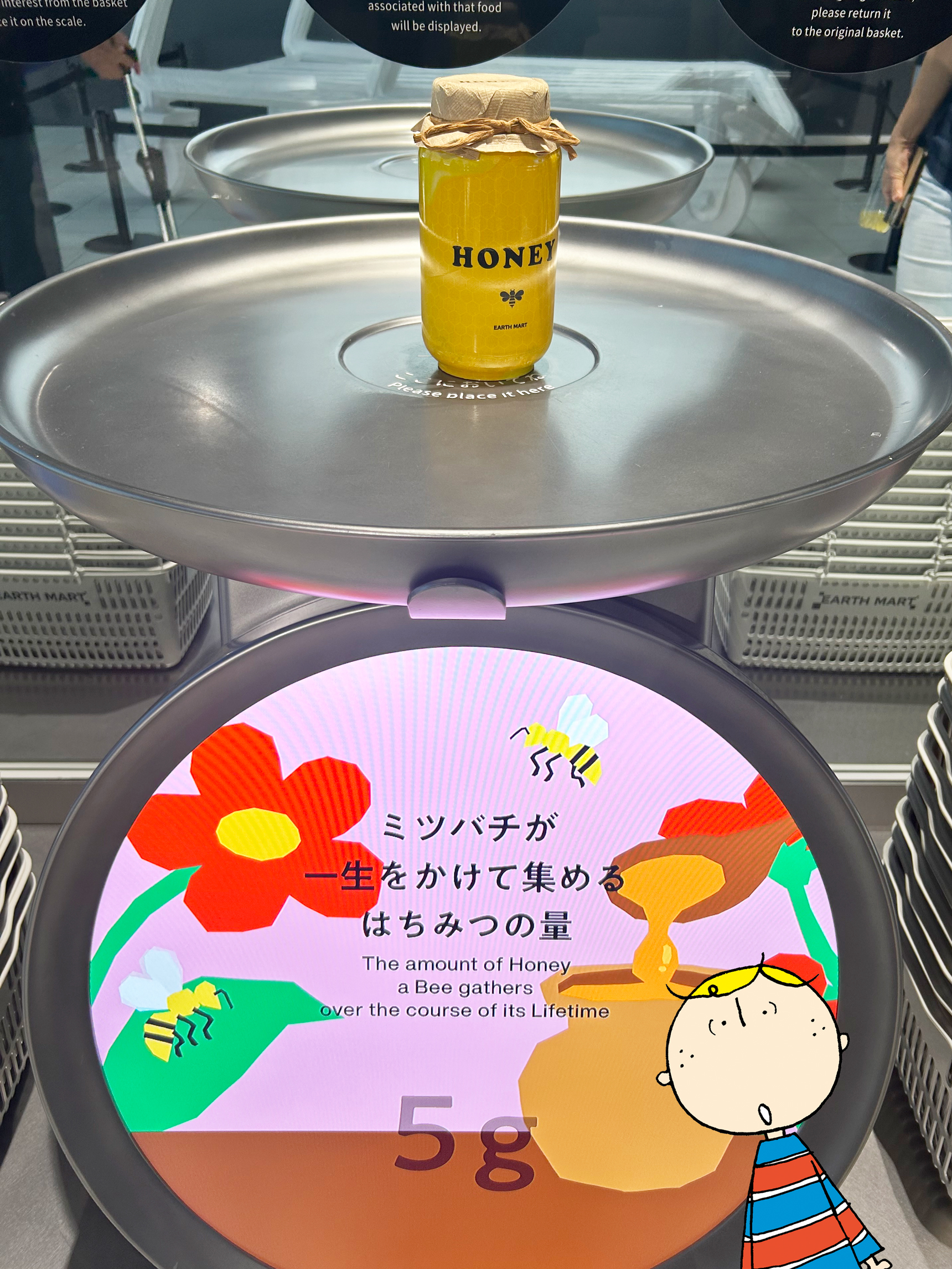 大阪万博 ドイツパビリオン限定 サーキュラー小 6種コンプリート