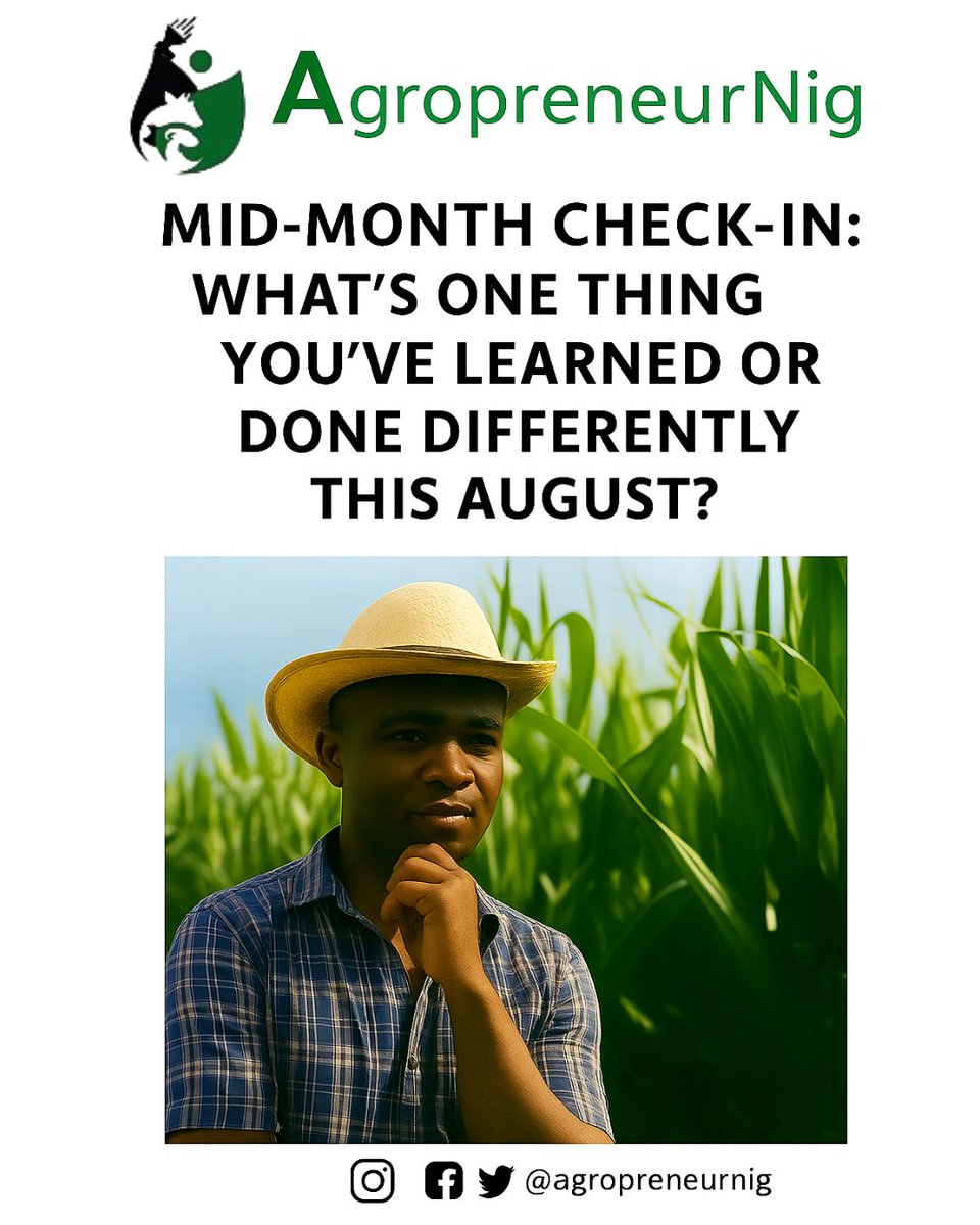 Agropreneurnig's tweet image. Halfway through the month! 🌱
What’s one thing you’ve learned or done differently in your agribusiness so far?
Tried a new technique? Improved your sales? Managed your farm better?
Share your story below and let’s grow stronger together! 👇
#Agribusiness #FarmSmart #MidMonthCheck