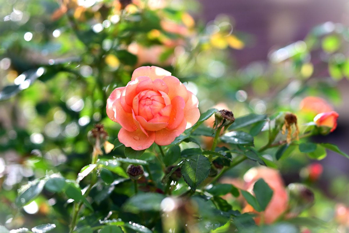 Vašek (@vs_ch12) on Twitter photo 