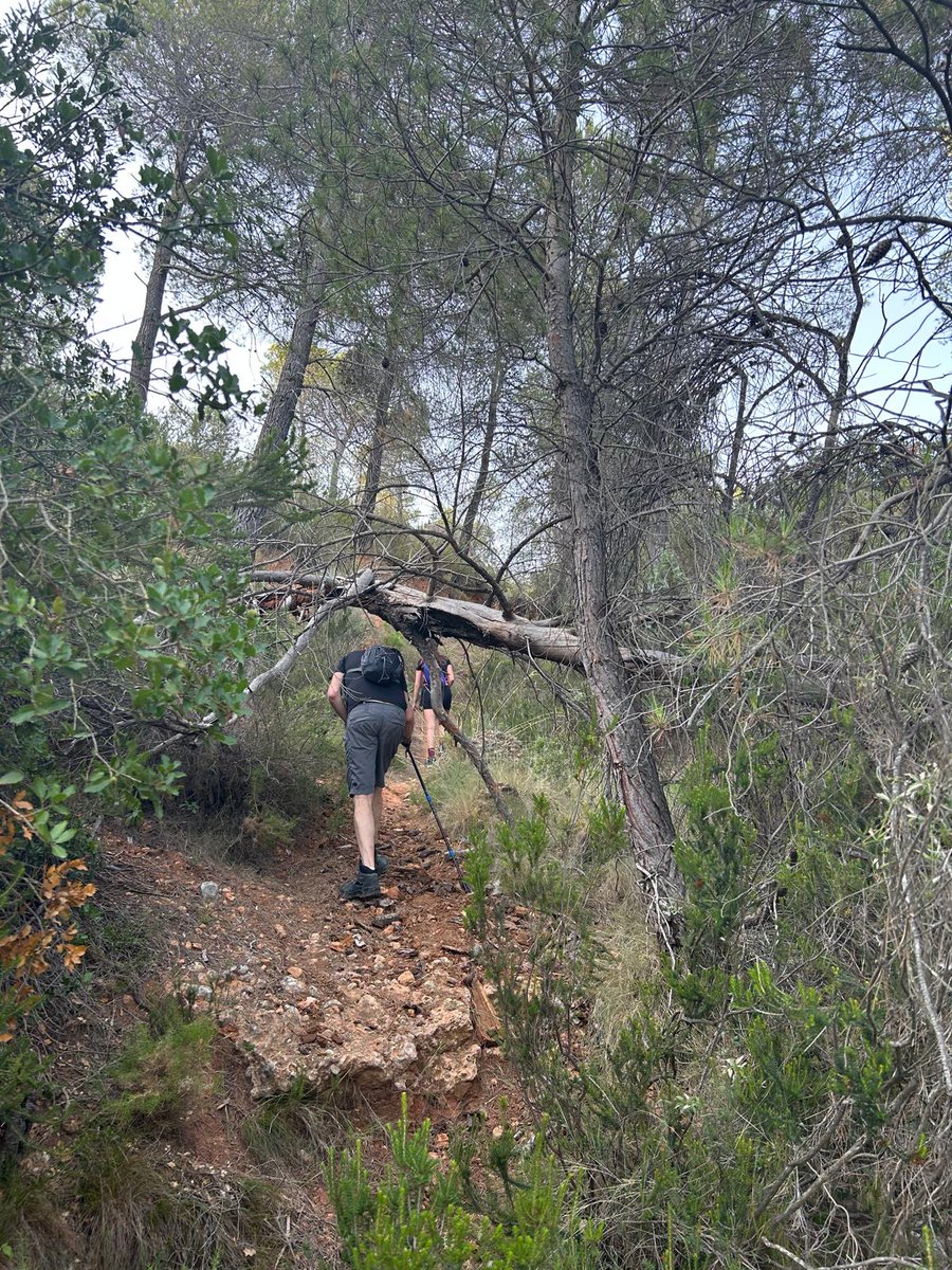 rafetavlc's tweet photo. Mi madre vivió en el monte con sus padres y sus tres hermanos hasta que tuvo 9 años, después ya se vinieron a vivir al pueblo, cuenta que de eso hace ya más de 70 años, entonces todos tenían animales, todo el monte estaba habitado, todo el monte estaba cuidado y no había incendios, todos se cuidaban y vivían...
Hoy el monte esta abandonado, no sé limpia, no sé invierte, no sé cuida, nada de nada, por eso con cualquier descuido, rayos, intencionado,..., arde como la pólvora.
El pasado sábado dio la casualidad que hicimos la ruta que se ha quemado esta semana, había sitios por donde casi no podíamos pasar por la maleza...
Pero ahora no hay dinero para prevención y para avionetas, pero si para chiringuitos, para mantener a menas y para enviar a chorradas a otros países.
Ascazo!!!
Rabia e impotencia!!!