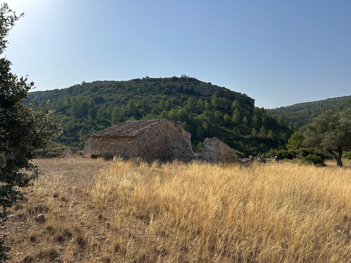 rafetavlc's tweet photo. Mi madre vivió en el monte con sus padres y sus tres hermanos hasta que tuvo 9 años, después ya se vinieron a vivir al pueblo, cuenta que de eso hace ya más de 70 años, entonces todos tenían animales, todo el monte estaba habitado, todo el monte estaba cuidado y no había incendios, todos se cuidaban y vivían...
Hoy el monte esta abandonado, no sé limpia, no sé invierte, no sé cuida, nada de nada, por eso con cualquier descuido, rayos, intencionado,..., arde como la pólvora.
El pasado sábado dio la casualidad que hicimos la ruta que se ha quemado esta semana, había sitios por donde casi no podíamos pasar por la maleza...
Pero ahora no hay dinero para prevención y para avionetas, pero si para chiringuitos, para mantener a menas y para enviar a chorradas a otros países.
Ascazo!!!
Rabia e impotencia!!!