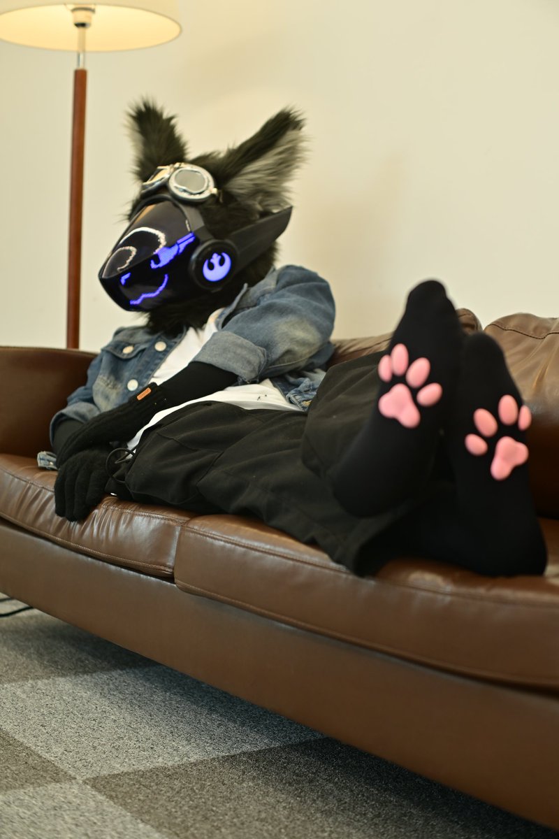 육구!
Paws! 🐾 
#FursuitFriday