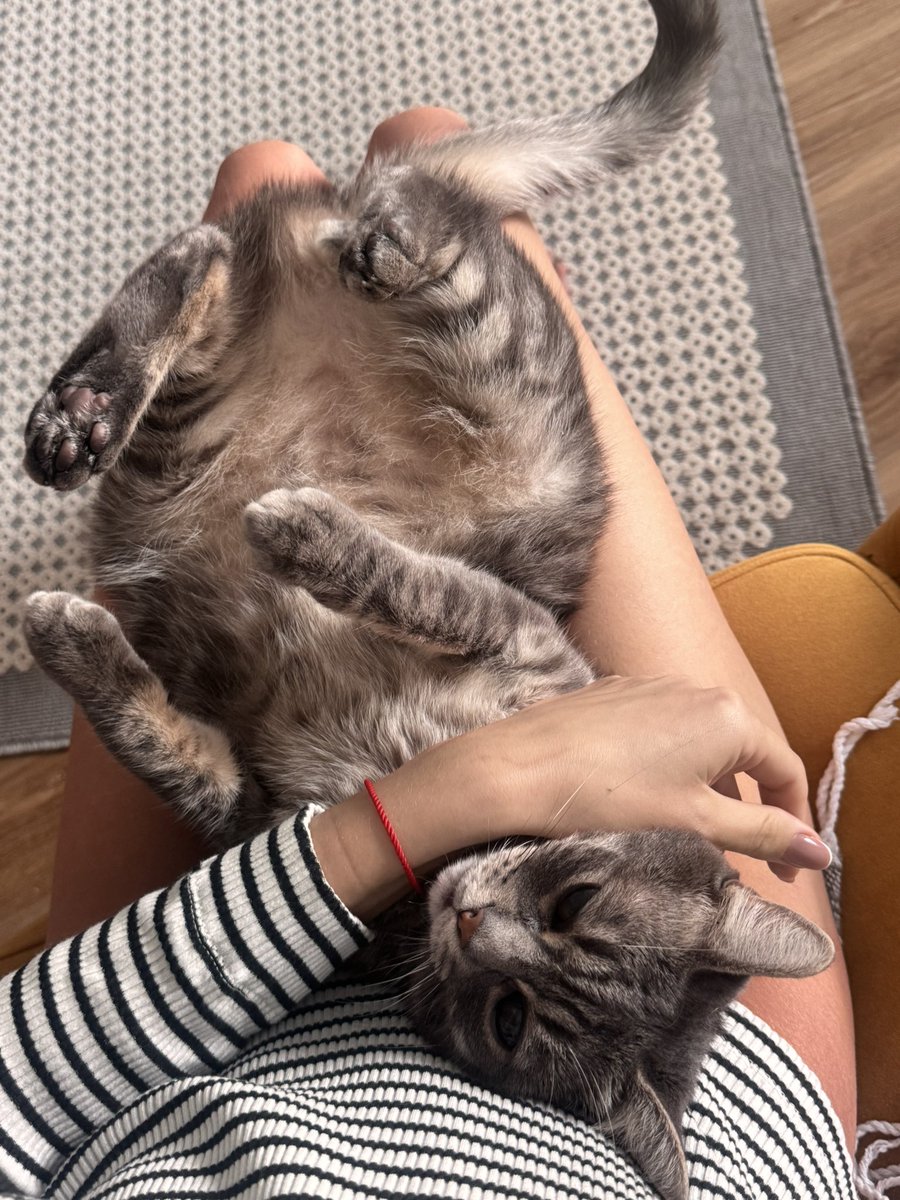 Зробили ранкову йогу, шоб зняти втому у мʼязах, покращити настрій та підняти продуктивність, прокинулись о 13:40 💪🏼💪🏼💪🏼💪🏼