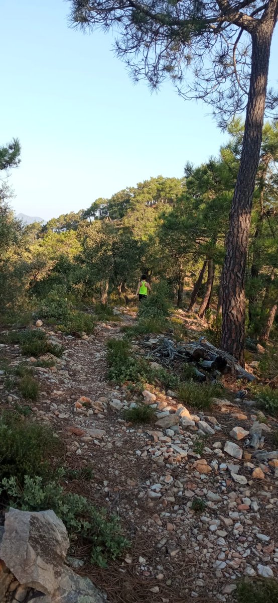 Penya de l'Àguila de camí al Puntal d 'Artana <a href="/espadaniques/">Espadànics escaldats🦎</a> <a href="/Haarp_project/">Haarp_project</a> <a href="/javix/">Javi López</a> <a href="/JrvLionel/">JuanRa Varelles🍊</a> <a href="/JuanJCarrasco/">JJCarrasco 🍀 👣</a> <a href="/minervagra/">Minerva GG</a> <a href="/MuntanyaV/">Muntanya Valenciana</a> <a href="/PaisRutes/">Rutes del País Valencià</a> <a href="/PallaresBlasco/">Helena</a>