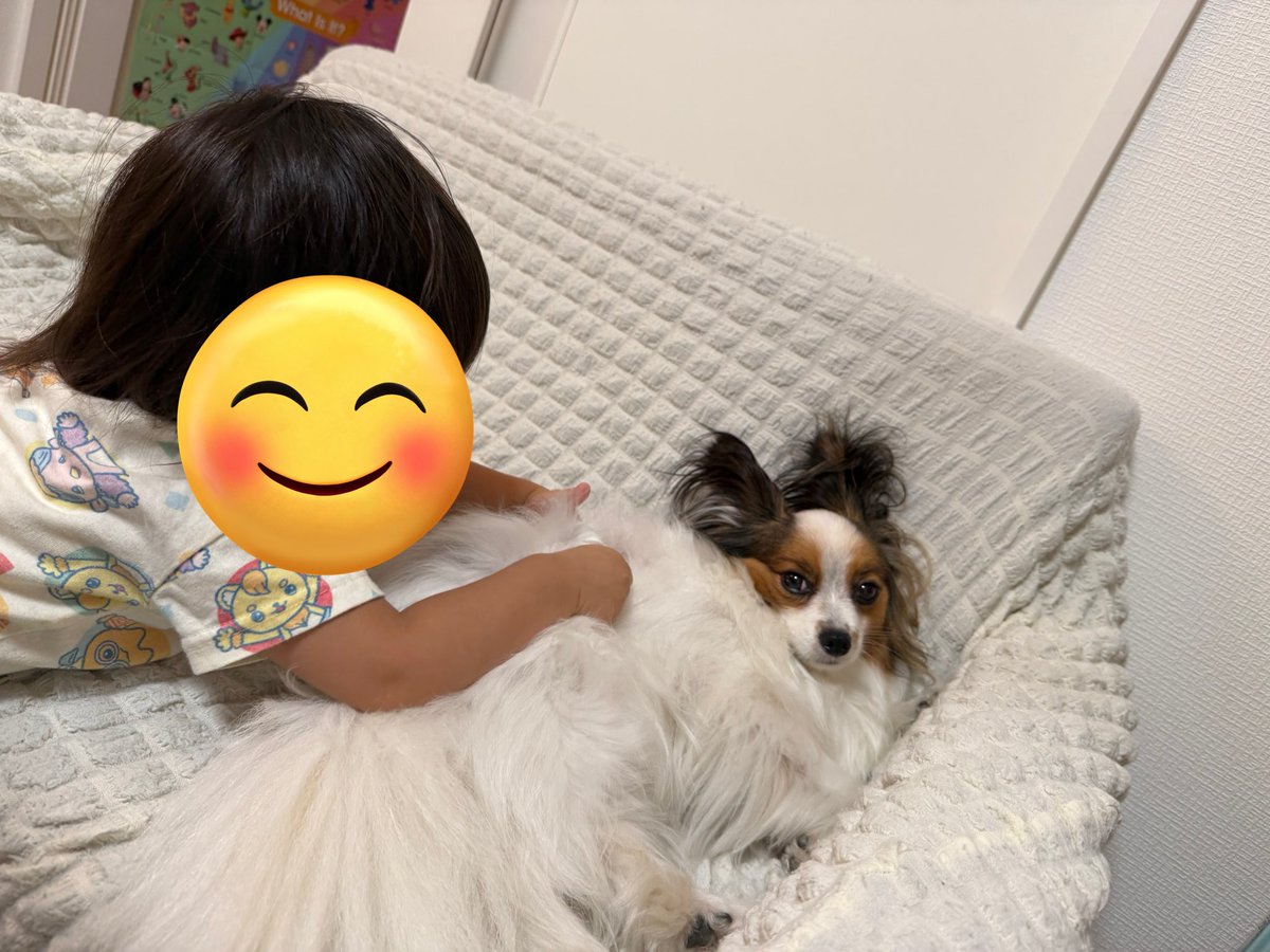ハローキティ 子犬の散歩 パピヨン ハローキティ 子犬のお散歩 パピヨン