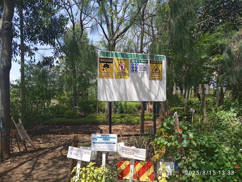 FOMAWA's tweet image. Antioxidants: Pomegranates contain potent antioxidants, ( polyphenols), which help protect the body&apos;s cells from damage and reduce inflammation. #CommunityPlanting #Volunteer #GreenSpaces #TreesOfLife #NatureLover #MakeADifference #KenyaForests #CommunityForestry
