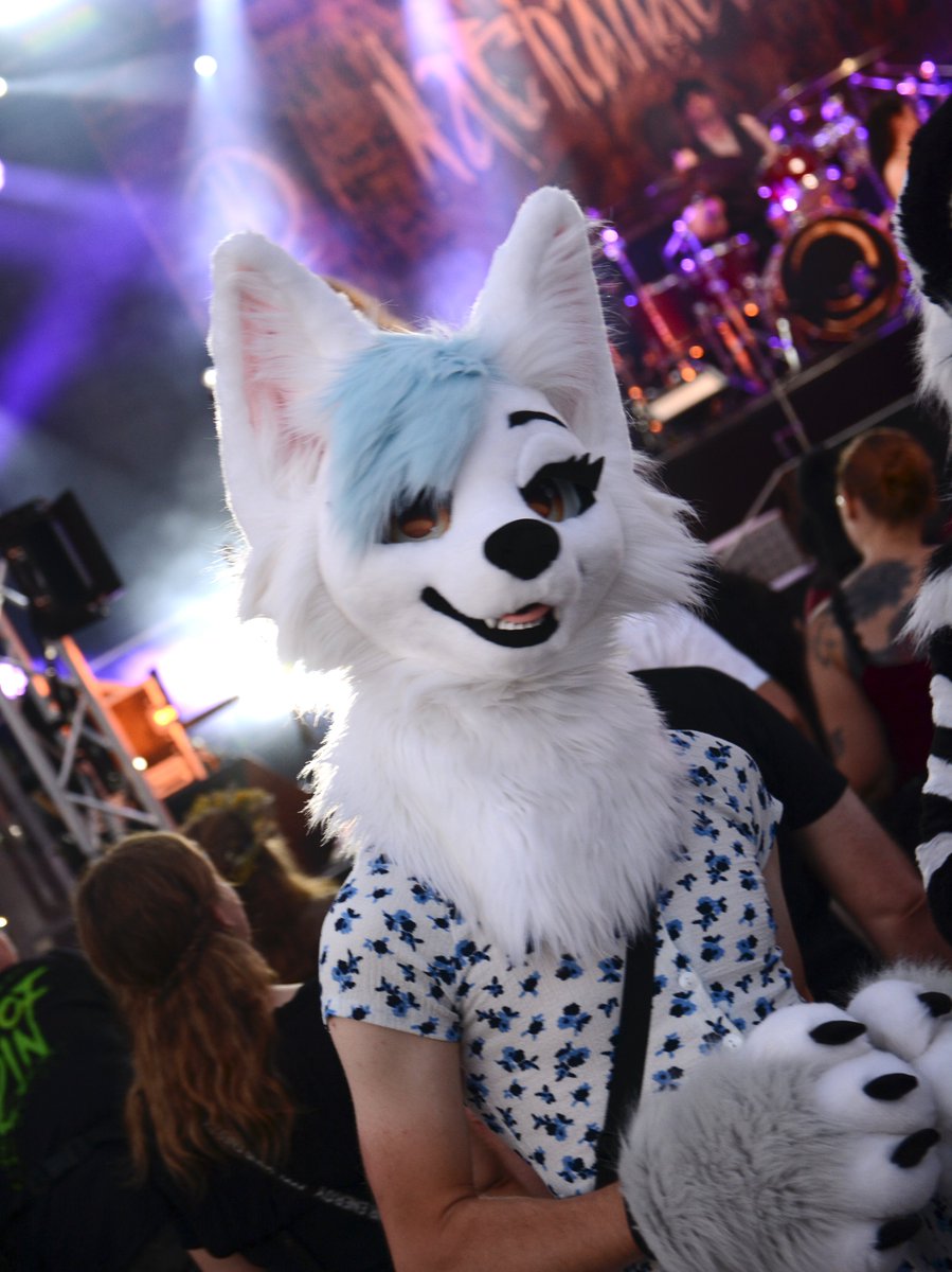 come and dance with me on this #FursuitFriday 

📸 <a href="/Oposum8/">Oposum🔜 JmoF</a> 
🪡 <a href="/LazyJoySuits/">Lazy Joy</a>