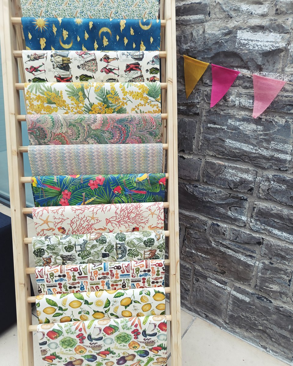 The Model Sligo tweet media