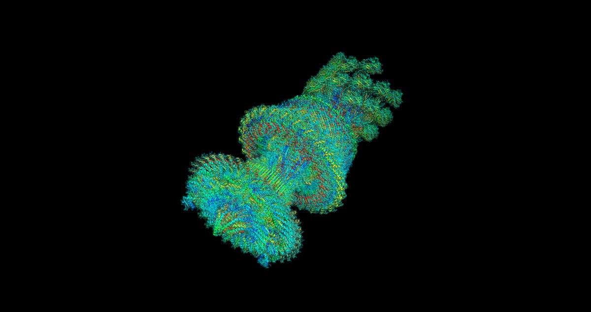 We’re sponsoring the Theory &amp; Computation Subgroup Postdoctoral Researcher Award at #BPS2026. Nominate another attendee or apply yourself by Sept. 1: go.aps.org/3Uq8VfX

<a href="/BiophysicalSoc/">Biophysical Society</a>