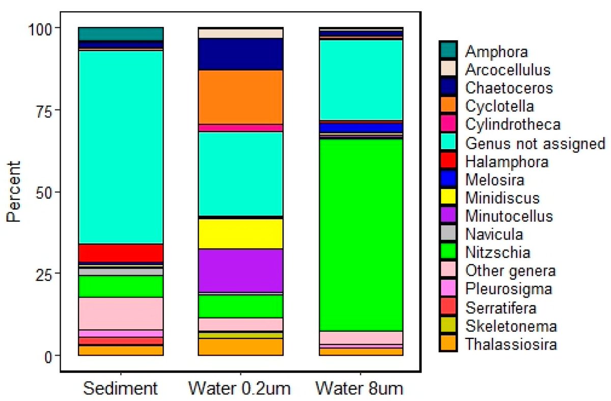 📢 #Most_reviewed_paper

📄 Microbial Eukaryotes in Natural and Artificial Salt Marsh Pools

✍️ Marina Potapova, Daiana Markarian, Abigail King and Laura Aycock

FInd out more 👉 brnw.ch/21wUWnw